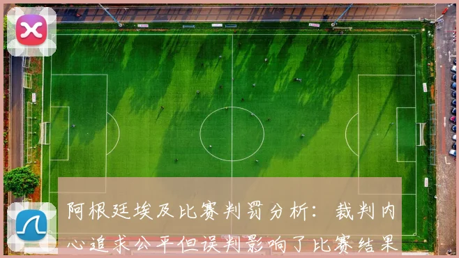 阿根廷埃及比赛判罚分析：裁判内心追求公平但误判影响了比赛结果