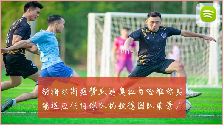 胡梅尔斯盛赞瓜迪奥拉与哈维称其能适应任何球队执教德国队前景广阔